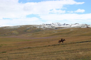 草原上策马驰骋的身影