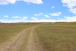 草原上的蜿蜒土路