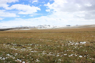 广袤草原与蓝天白云之景