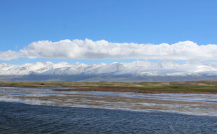 广阔草原与蓝天白云美景