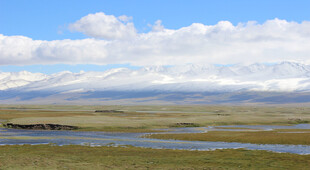 草原风光 蓝天白云映绿野