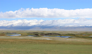 广袤草原与远处雪山景观