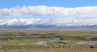 草原湿地风光美景