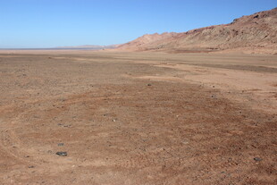 广袤荒凉的旷野景观