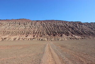 荒漠中的蜿蜒车辙路