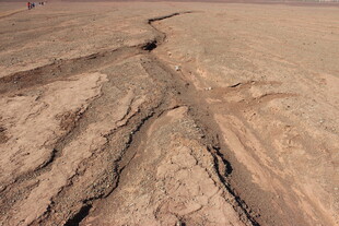 干裂土地的裂痕景象