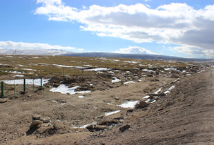 荒凉旷野中的泥泞道路