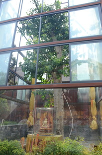 温室中的绿植景观