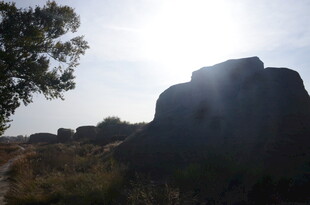 阳光下的岩石与树木景观