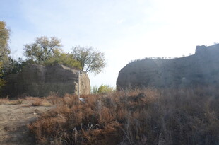 荒野中的古老石堆与树木