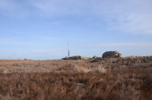 广袤荒野中的静谧景象