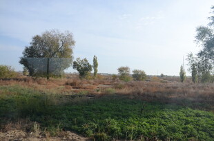 乡村田野风光景色