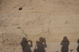 沙漠中人们的身影与飞鸟