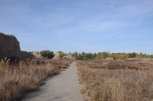 荒野中的蜿蜒小径