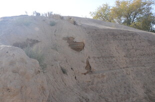 古老石壁上的神秘痕迹