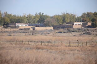 乡村旷野中的几处房屋