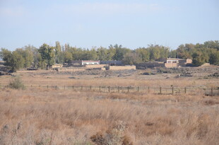 秋日旷野中的村落景象