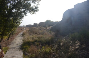 山间小径 自然景致初现