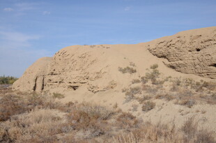 荒凉沙地中的古老土丘