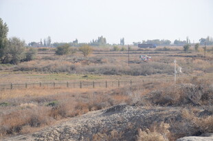 荒野中的开阔土地景象