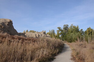 荒野小径旁的枯黄芦苇与蓝天