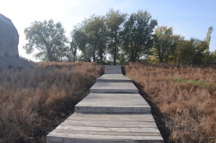 林间木栈道 秋日好风光