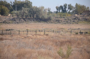 秋日旷野围栏风景
