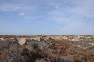 荒凉野外的开阔景象