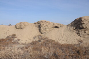 沙漠中的奇特土丘景观
