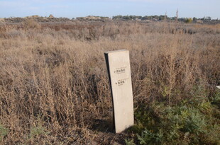 田野中的木质指示牌