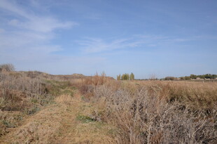 荒野干草地风景