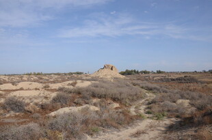 荒凉旷野中的土堆景观