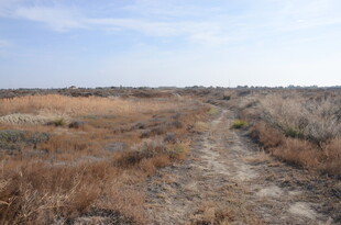 荒野中的一条土路
