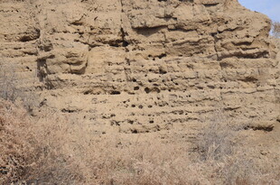 黄土层地貌景观