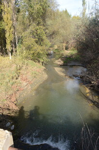 山间清澈溪流风景