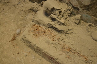 古老遗迹中的神秘残骸