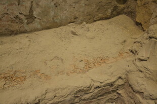 古老岩壁上的神秘岩画