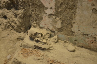 古老遗址中的神秘骸骨