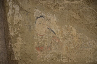 古老岩画展现神秘图案