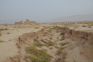 沙漠中的古老遗迹景观