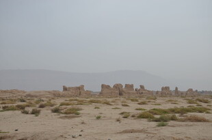 沙漠中的古老遗迹