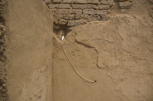 古老土墙缝隙中的神秘景象