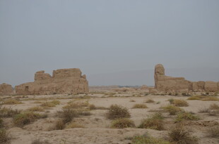 沙漠中的古老遗迹