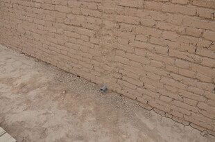 砖墙与地面的角落场景