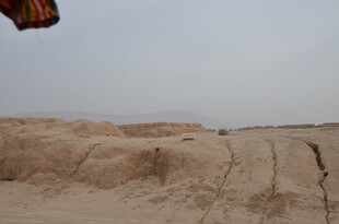 沙漠中的奇特土丘景观