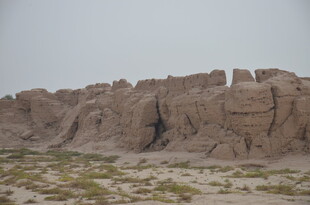 沙漠中的古老土筑城墙