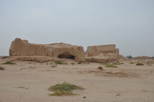 沙漠中的古老遗迹