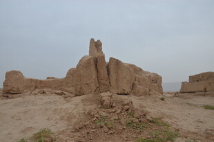 古老沙漠中的神秘土筑遗迹