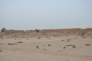 沙漠中的古老遗迹