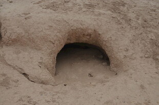 沙漠中的神秘小洞穴